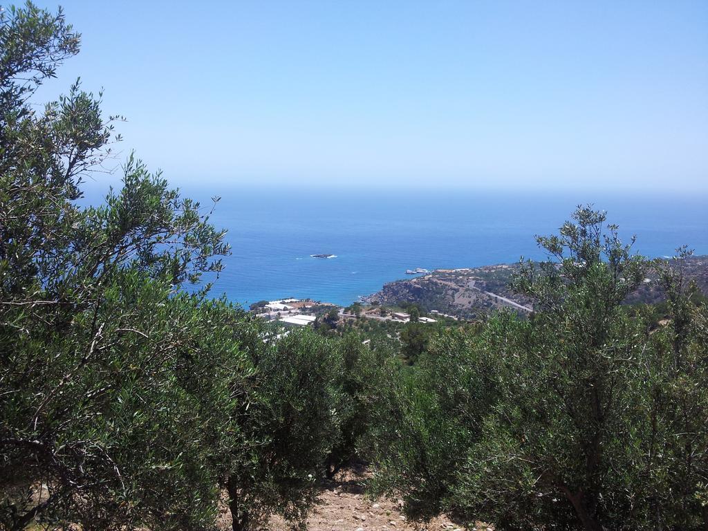 Stefanos Apartment Agia Fotia (Ierapetra)