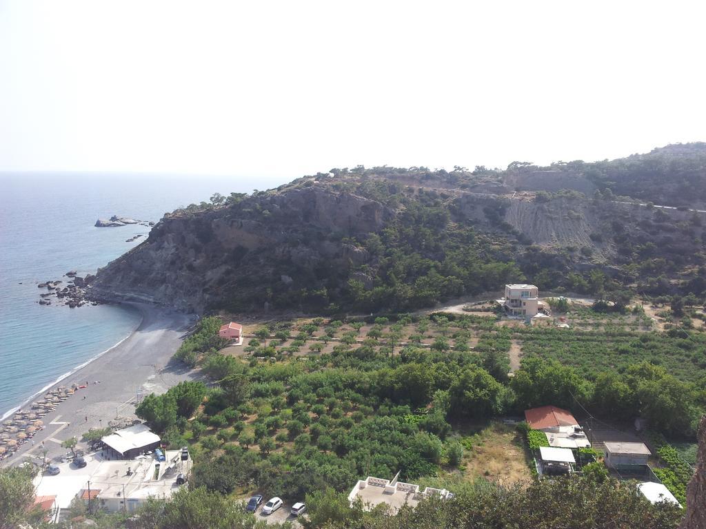 Stefanos * Agia Fotia (Ierapetra)
