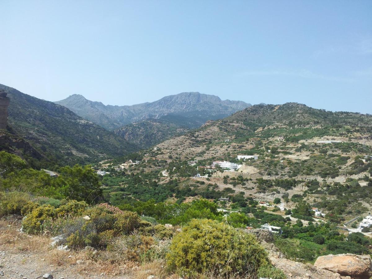 Stefanos *